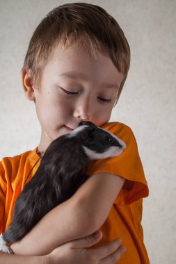 Portrait of a boy in the guinea pig in his hands. clipart