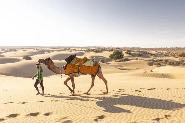 Conductor dromedario en el desierto de Thar, India, Rajasthan — Foto de Stock