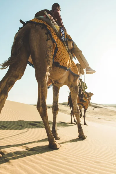 Dromedario con turista nel deserto di Thar — Foto Stock