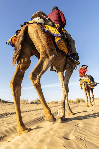 Dromedário com turista no deserto de Thar — Fotografia de Stock