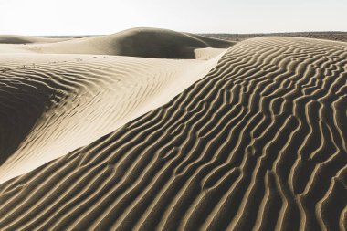 thar çöl manzara, thar bölgesi görünümü, rajasthan içinde