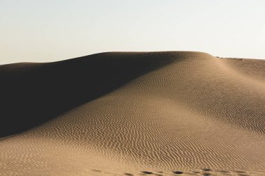 thar çöl manzara, thar bölgesi görünümü, rajasthan içinde
