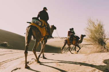 thar çölde turist ile dromedary
