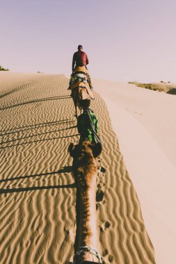 thar çölünde turist ile dromedary görünümünden