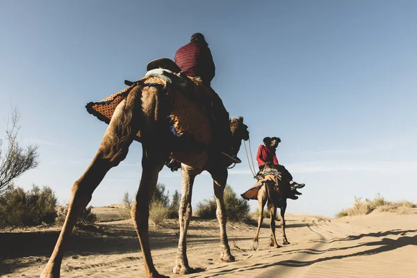 Dromedario con turista en el desierto de Thar — Foto de Stock