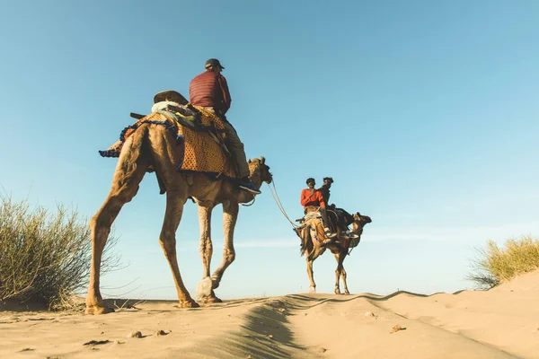 Dromedário com turista no deserto de Thar — Fotografia de Stock