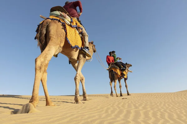 在塔尔沙漠与游客的德罗巴 — 图库照片