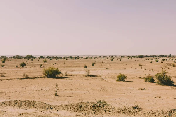 thar çöl manzara, thar bölgesi görünümü, rajasthan içinde
