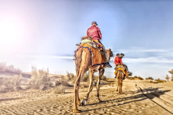 Dromedary with tourist in the thar desert — Stock Photo, Image