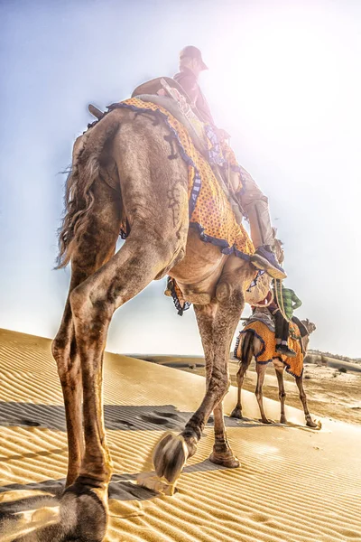 Dromedário com turista no deserto de Thar — Fotografia de Stock