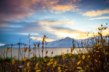  Route 1 veya Çevre Yolu (Hringvegur), İzlanda'nın yan görünümü