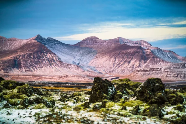 Mossy Lavaveld Ijsland — Stockfoto