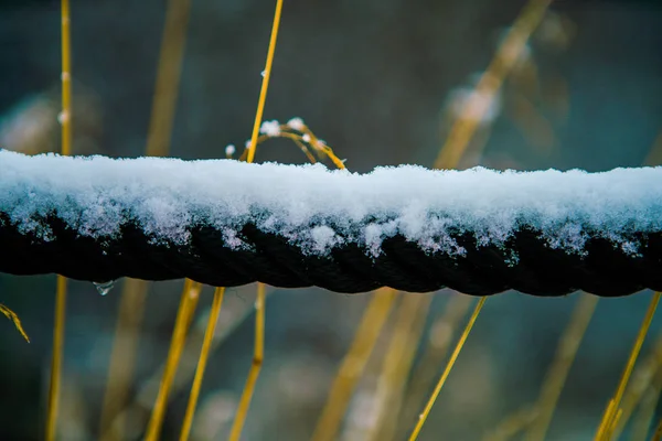 Sněhová Pokrývka Louce — Stock fotografie
