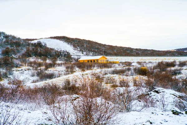 Copertura Neve Sul Prato — Foto Stock