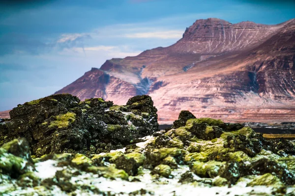 Campo Lava Muschiata Islanda — Foto Stock