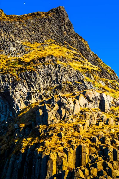 Вся Гора Рейкьявик Базальтовой Колонной Пляже Рейкьяру Южном Побережье Исландии — стоковое фото