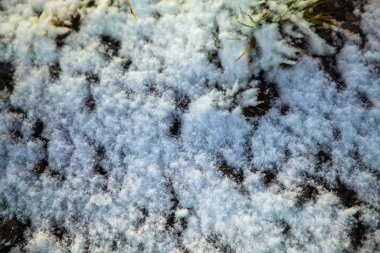 Çayırda kar örtüsü