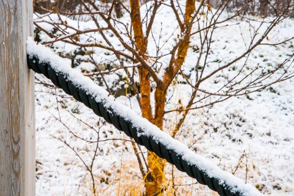 Snow Cover Meadow — Stock Photo, Image