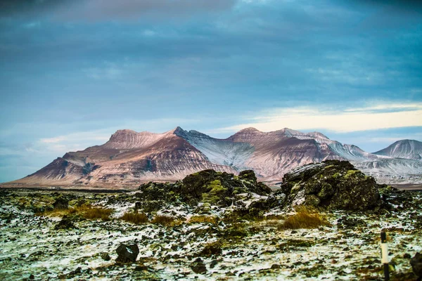 Mossy Láva Mező Izland — Stock Fotó