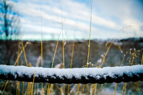 Snow Cover Weide — Stockfoto