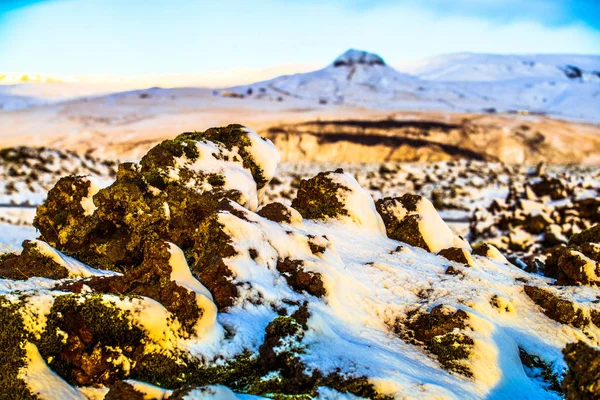 Снігова Моховий Лава Поле Ісландії — стокове фото