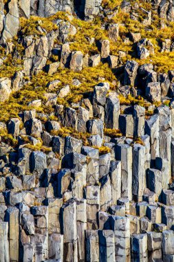 İzlanda güney kıyısında Reynisfjara (Reynisfjoru) plajda bazalt sütun ile Reynisfjall dağ
