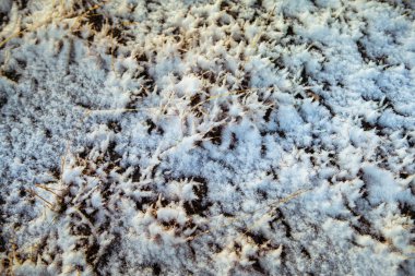 Çayırda kar örtüsü