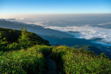 Doi Inthanon Milli Parkı'nda Kew Mae Pan Doğa Trail Doğa sahnesi, Chiang Mai, Tayland