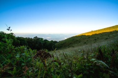 Kew Mae Pan, Doi Inthanon