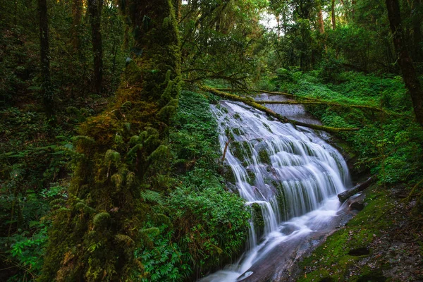 Kew Mae Pan, Doi Inthanon — Foto de Stock