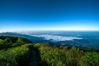 Doi Inthanon Milli Parkı'nda Kew Mae Pan Doğa Trail Doğa sahnesi, Chiang Mai, Tayland