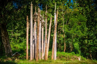 Poi Ton Tee, Longneck Village yerel Kariang kabilesinin geleneksel yeni yıl töreni için oyma ağacı (Kayan), Mae Hong Son, Tayland