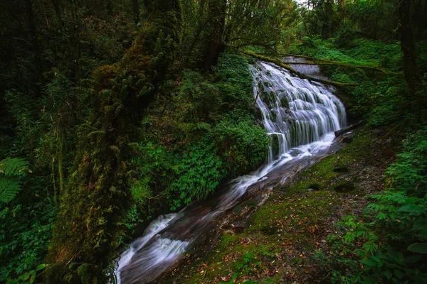 Kew Mae Pan, Doi Inthanon — Foto de Stock