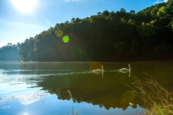 Pang Ung — Stockfoto