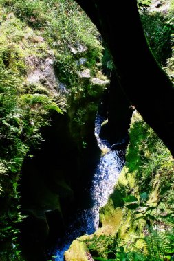 Takachiho Gorge, dar bir uçurum geçit astar neredeyse dik kayalıklar ile Gokase Nehri ile kaya kesiği yavaş volkanik bazalt sütunlar, Takachiho, Miyazaki, Kyushu, Japonya oluşturan oluşur