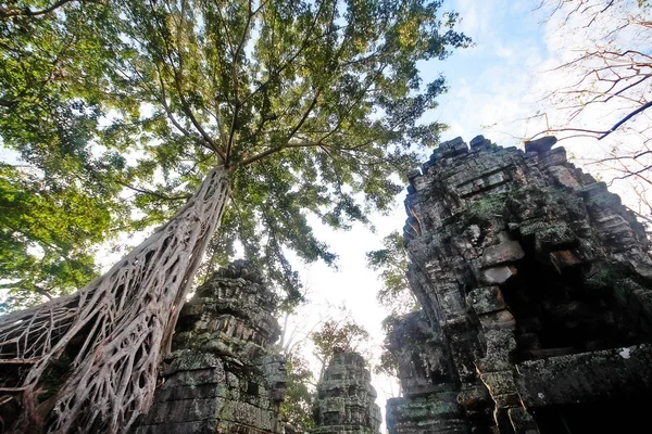 Prohm Prasat Prohm Bayon Stijl Tempel Beroemd Als Oude Tempel — Stockfoto