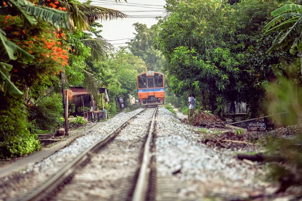 森の中の鉄道線路は — ストック写真