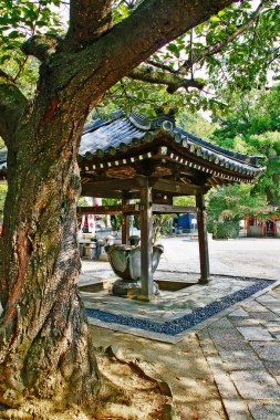 Kimiidera (Kimii-ji Tapınağı), Nagusa Dağı'nın batı yamacında, ana yapı kompleksine (Garan), Wakayama Prefecture, Kansai, Japonya'ya 231 basamak (Kechien-zaka eğimi) ile bir tapınak