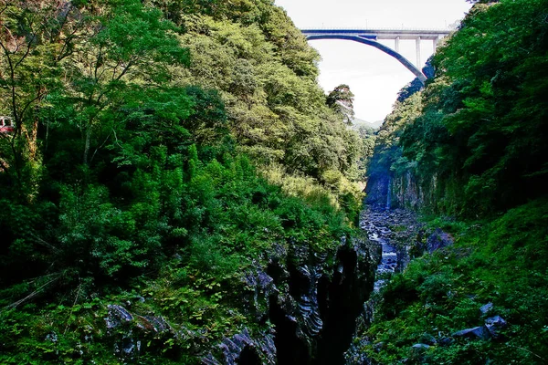 高千穂渓谷は 五ヶ瀬川の岩を切り裂き ほぼ薄い崖が並ぶ狭い岩石で ゆっくりと形成される火山玄武岩柱 高千穂 — ストック写真