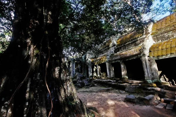 Prohm Prasat Prohm Templo Estilo Bayón Famoso Como Antiguo Templo — Foto de Stock