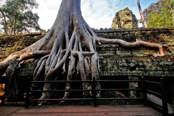 Prohm Khmer Bayon Stijl Tempel Beroemd Als Oude Tempel Onder — Stockfoto