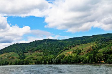 Wachau Vadisi'nde teraslı üzüm bağları, Aşağı Avusturya'da Melk ve Krems kasabaları arasında yer alan Tuna Nehri tarafından oluşturulan pitoresk bir manzara ile Avusturya vadisi