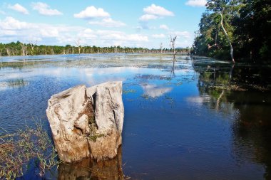 Neak Pean (Neak Poan, Neak Poan, Sarmaş dolaş yılanlar), Budist tapınağı ile çevrili bir ada, Preah Khan Baray Mebonu (Jayataka), Angkor, Siem Reap, Kamboçya.