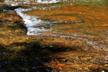 Sahasralingas (Linga 1,000), Phnom Kulen Ulusal Parkı 'nda (Phnom Koulen veya Lychees Dağı), Siem Reap, Kamboçya, 