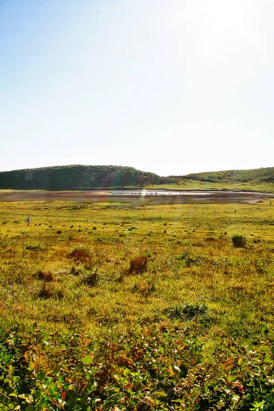 Monte Aso Aso San Maior Vulcão Ativo Japão Fica Parque — Fotografia de Stock