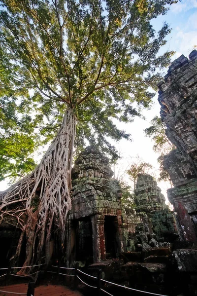 Prohm Prasat Prohm Bayon Stijl Tempel Beroemd Als Oude Tempel — Stockfoto