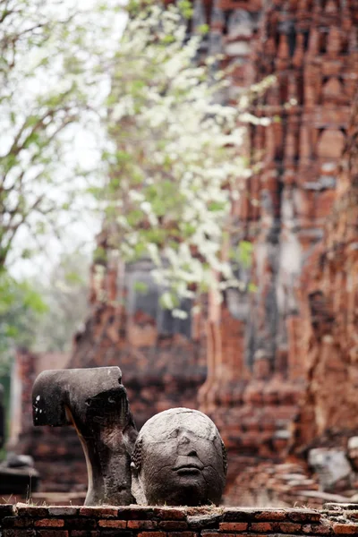Testa Dell Antica Statua Buddha Wat Mahathat Ayutthaya Thailandia — Foto Stock