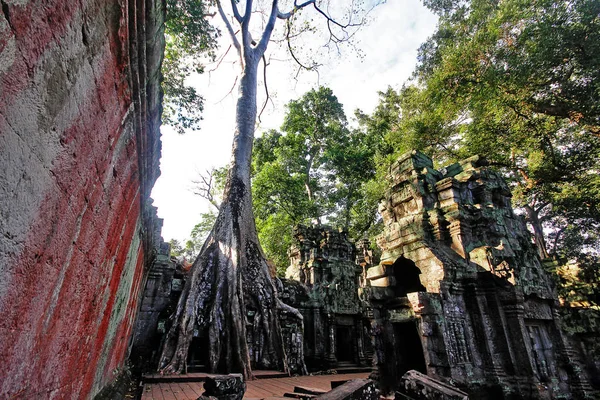 Prohm Prasat Prohm Bayon Style Temple Famous Old Temple Roots — Photo