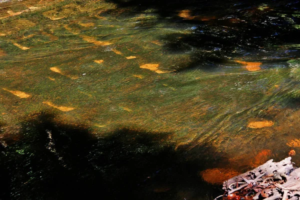 Sahasralingas Linga 1000 Фігури Йоні Лінги Скелястому Руслі Річки Горі — стокове фото
