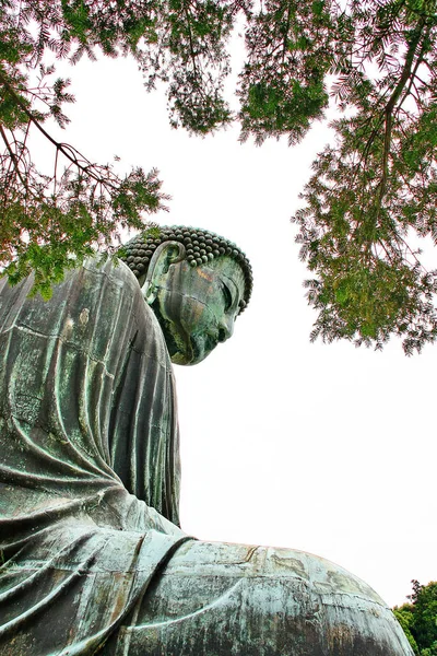 Καμακούρα Νταϊμπούτσου Μεγάλος Βούδας Χάλκινο Άγαλμα Της Αμίντα Βούδα Στο — Φωτογραφία Αρχείου